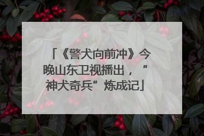《警犬向前冲》今晚山东卫视播出，“神犬奇兵”炼成记