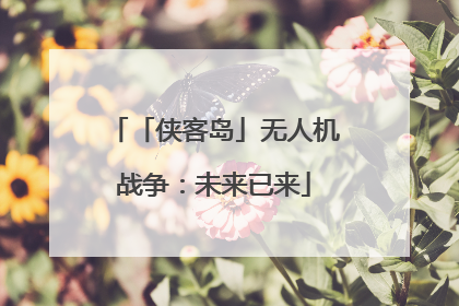 「侠客岛」无人机战争：未来已来