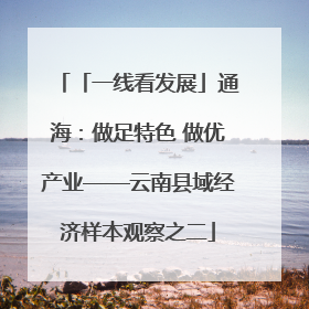 「一线看发展」通海：做足特色 做优产业——云南县域经济样本观察之二