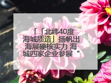 「北纬40度 海城质造」扬帆出海展硬核实力 海城四家企业参展“中东欧”展览会