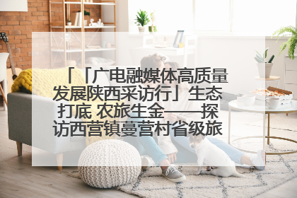 「广电融媒体高质量发展陕西采访行」生态打底 农旅生金——探访西营镇蔓营村省级旅游示范村的振兴密码