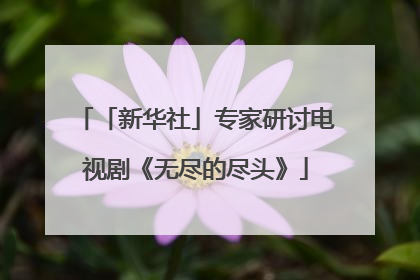 「新华社」专家研讨电视剧《无尽的尽头》