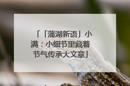 「蒲湖新语」小满：小细节里藏着节气传承大文章