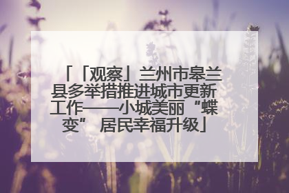 「观察」兰州市皋兰县多举措推进城市更新工作——小城美丽“蝶变” 居民幸福升级