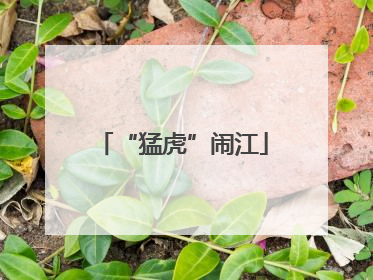 “猛虎”闹江