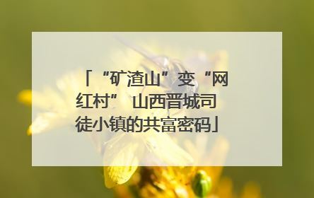 “矿渣山”变“网红村” 山西晋城司徒小镇的共富密码