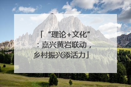 “理论+文化”：嘉兴黄岩联动，乡村振兴添活力