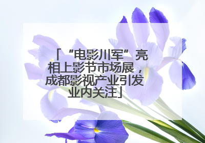 “电影川军”亮相上影节市场展，成都影视产业引发业内关注