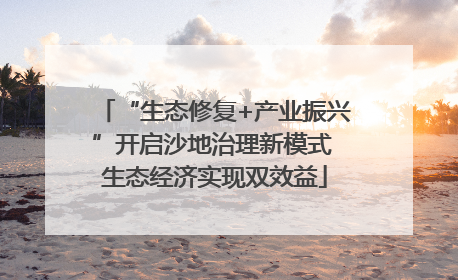 “生态修复+产业振兴”开启沙地治理新模式 生态经济实现双效益