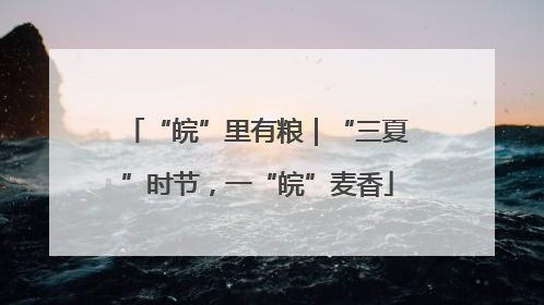“皖”里有粮｜“三夏”时节，一“皖”麦香