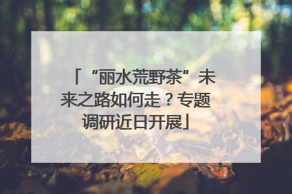“丽水荒野茶”未来之路如何走？专题调研近日开展