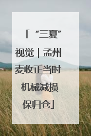 “三夏”视觉｜孟州麦收正当时 机械减损保归仓