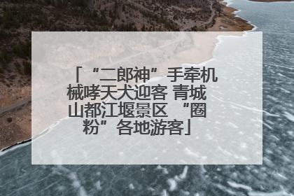 “二郎神”手牵机械哮天犬迎客 青城山都江堰景区 “圈粉”各地游客