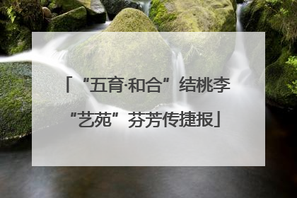 “五育·和合”结桃李 “艺苑”芬芳传捷报