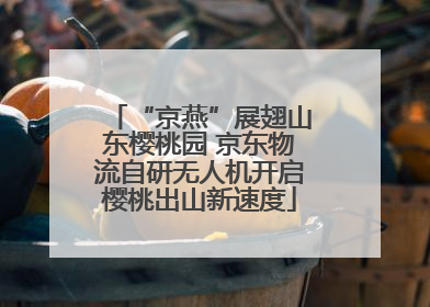 “京燕”展翅山东樱桃园 京东物流自研无人机开启樱桃出山新速度
