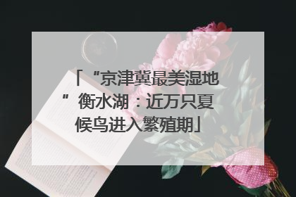 “京津冀最美湿地”衡水湖：近万只夏候鸟进入繁殖期