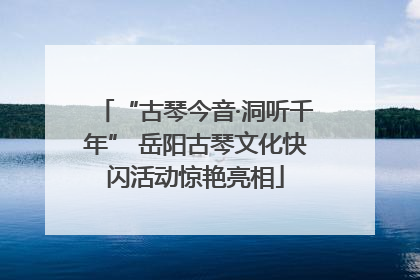 “古琴今音·洞听千年” 岳阳古琴文化快闪活动惊艳亮相