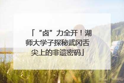 “卤”力全开！湖师大学子探秘武冈舌尖上的非遗密码
