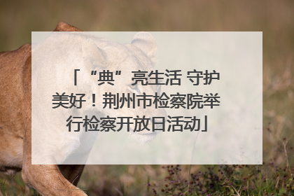 “典”亮生活 守护美好！荆州市检察院举行检察开放日活动