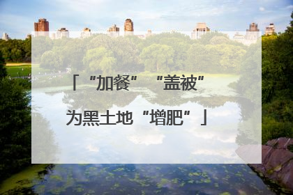 “加餐”“盖被” 为黑土地“增肥”
