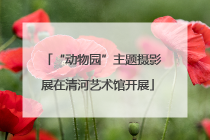 “动物园”主题摄影展在清河艺术馆开展