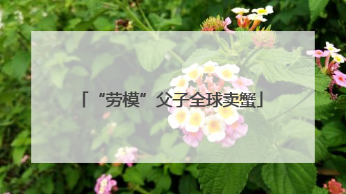 “劳模”父子全球卖蟹