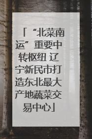 “北菜南运”重要中转枢纽 辽宁新民市打造东北最大产地蔬菜交易中心