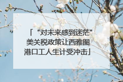 “对未来感到迷茫” 美关税政策让西雅图港口工人生计受冲击
