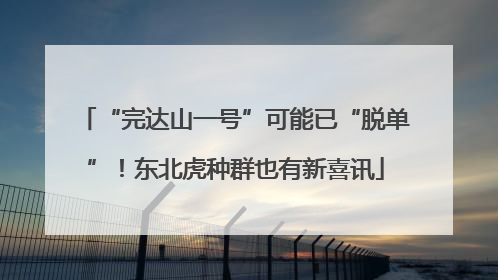 “完达山一号”可能已“脱单”！东北虎种群也有新喜讯