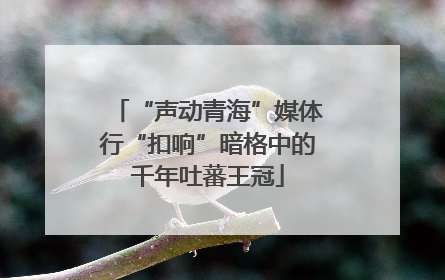 “声动青海”媒体行“扣响”暗格中的千年吐蕃王冠