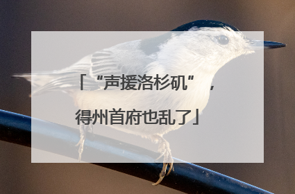 “声援洛杉矶”，得州首府也乱了