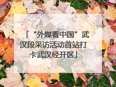 “外媒看中国”武汉段采访活动首站打卡武汉经开区