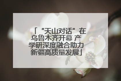 “天山对话”在乌鲁木齐开幕 产学研深度融合助力新疆高质量发展