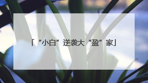 “小白”逆袭大“盈”家