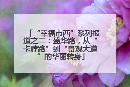 “幸福市西”系列报道之二：盛华路，从“卡脖路”到“景观大道”的华丽转身