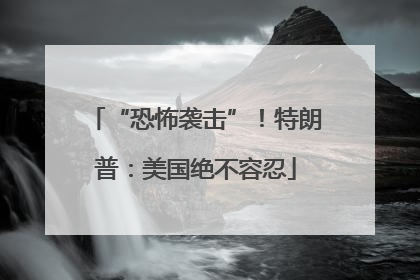 “恐怖袭击”！特朗普：美国绝不容忍