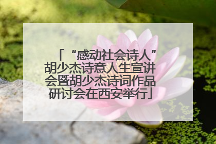 “感动社会诗人”胡少杰诗意人生宣讲会暨胡少杰诗词作品研讨会在西安举行