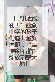 “扎西德勒！”西藏中学的孩子们遇上藏族同胞，“高原红石榴”绽放荆楚大地