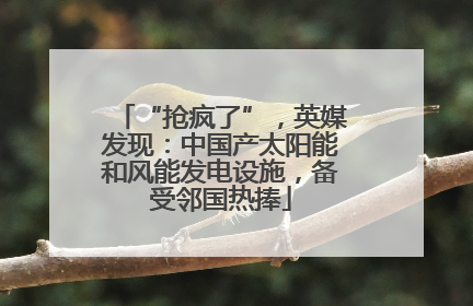 “抢疯了”，英媒发现：中国产太阳能和风能发电设施，备受邻国热捧