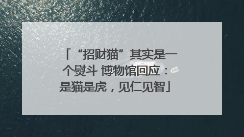 “招财猫”其实是一个熨斗 博物馆回应：是猫是虎，见仁见智