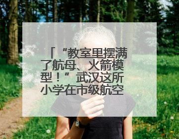 “教室里摆满了航母、火箭模型！”武汉这所小学在市级航空航天模型实践活动中获佳绩