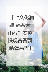 “文化润疆·福茶天山行”安溪铁观音香飘新疆昌吉