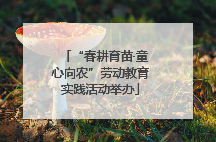 “春耕育苗·童心向农”劳动教育实践活动举办
