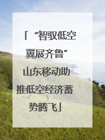 “智驭低空 翼展齐鲁” 山东移动助推低空经济蓄势腾飞