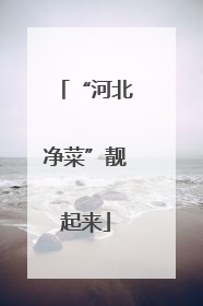 “河北净菜”靓起来