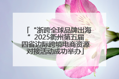 “浙跨全球品牌出海”2025衢州第五届四省边际跨境电商资源对接活动成功举办
