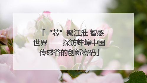“芯”聚江淮 智感世界——探访蚌埠中国传感谷的创新密码