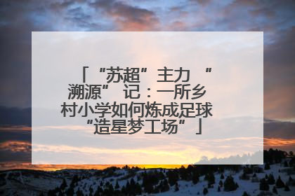 “苏超”主力 “溯源” 记：一所乡村小学如何炼成足球 “造星梦工场”