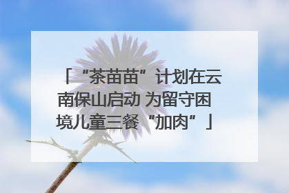 “茶苗苗”计划在云南保山启动 为留守困境儿童三餐“加肉”