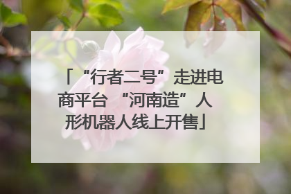 “行者二号”走进电商平台 “河南造”人形机器人线上开售